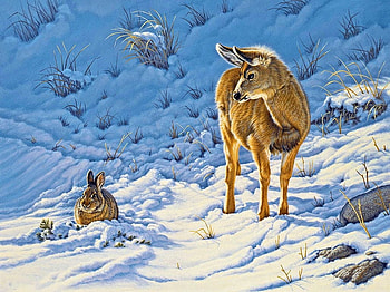 friends, winter, rabbit, deer HD wallpaper