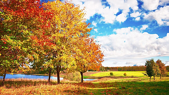 Landscape, Trees, Autumn HD wallpaper