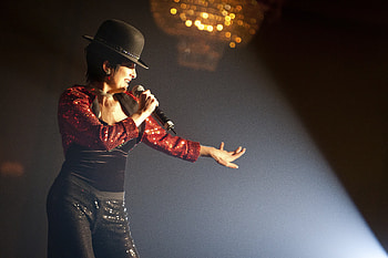 Liza Minnelli, , Famous actress, Stage icon HD wallpaper