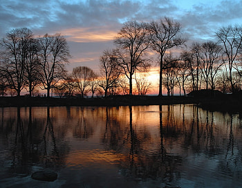 sunset, trees, sky, nature, water HD wallpaper