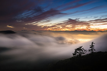 Landscape Fog Nature, landscape, nature, fog HD wallpaper