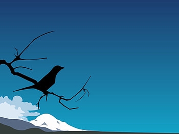Sky, Clouds, Vector, Silhouette, Bird, Branch HD wallpaper