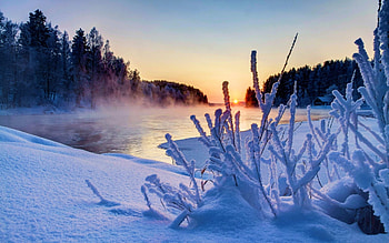 Winter Morning, river, reflection, snow, trees, water, sun HD wallpaper