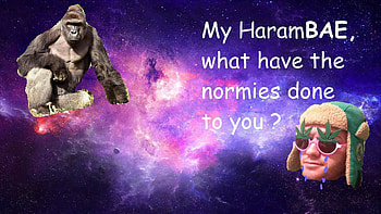 I still find Harambe jokes and references funny. - Page 2 . HD wallpaper