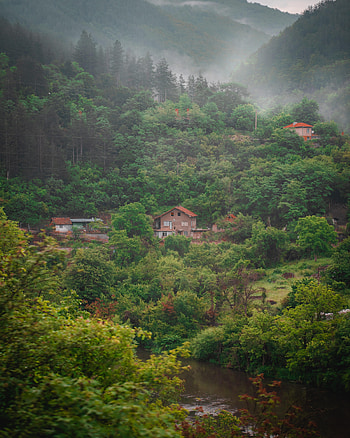 Nature, Rivers, Forest, Fog, House HD phone wallpaper