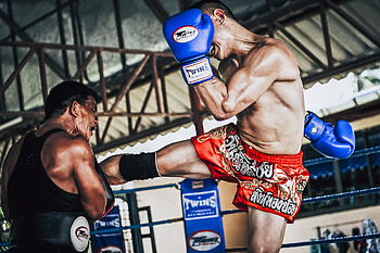 Fightstop basic trainingsplan, Kickboxen, Muay Thai, Thaiboxen HD wallpaper