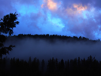 Nature, Twilight, Clouds, Forest, Fog, Dusk HD wallpaper