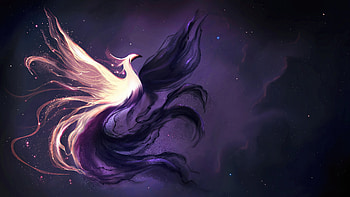 Phoenix Light And Darkness, fantasy, phoenix HD wallpaper