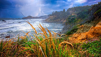 Coastal Oregon, grass, rocks, usa, waves, sunrays, clouds, flowers, sky, ocean HD wallpaper