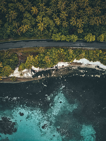 Sea, aerial shot, coast, road, beach HD phone wallpaper