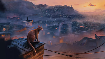Stray Cat, cat, manipulation, artist, artwork, digital-art HD wallpaper