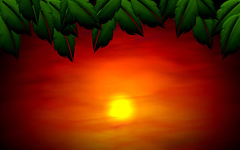 Sunset, abstract, sky, nature, , sun, 2560x1600, sunrise HD wallpaper