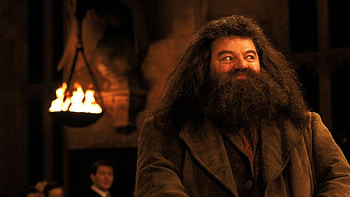 Hagrid, Bearded giant, Keeper of secrets, Unconditional loyalty HD wallpaper