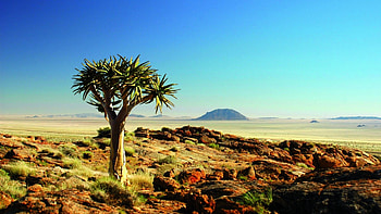 Nature's Oasis, Scenery, Oasis, Nature, Deserts, Landscapes HD wallpaper