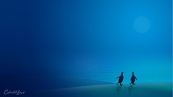 Get this package - Get more Calculate Linux - Official site of Calculate Linux. HD wallpaper
