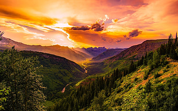 Mountains, Forest trees, Horizon HD wallpaper