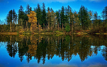 Autumn in Washington state, water, usa, reflections, Trees HD wallpaper