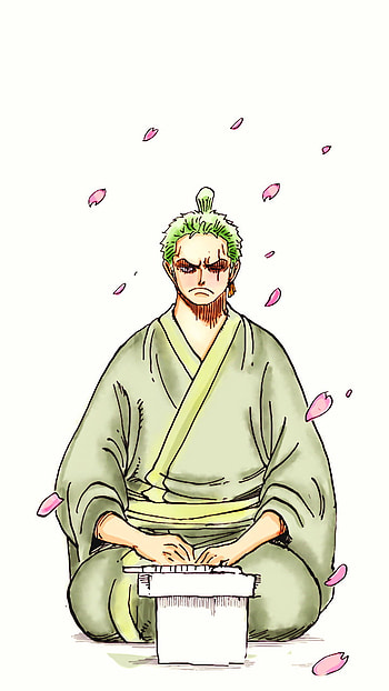 Zoro, Wano, Anime, One Piece, Manga HD phone wallpaper