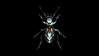 Insect, Facets HD wallpaper
