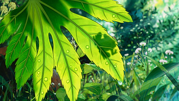The Secret World of Arrietty, from the movie, Animated magic, Captivating visuals HD wallpaper