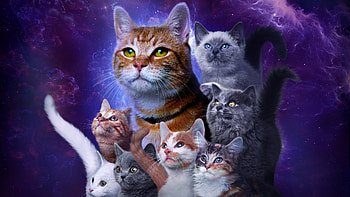 The Marvels : Cosmic Cats Unite, movie, The Marvels HD wallpaper