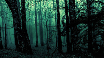 Dark ghost gothic wood trees fantasy evil horror | | 118275 | UP HD wallpaper
