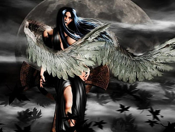Big Wings, night, wings, big, angel, dark HD wallpaper