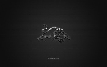 Penrith Panthers, Australian rugby club, NRL, silver logo, gray carbon fiber background, National Rugby League, rugby, Sydney, Australia, Penrith Panthers logo HD wallpaper