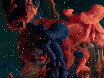 Abstract, Paint, Liquid, Particles, Ink HD wallpaper