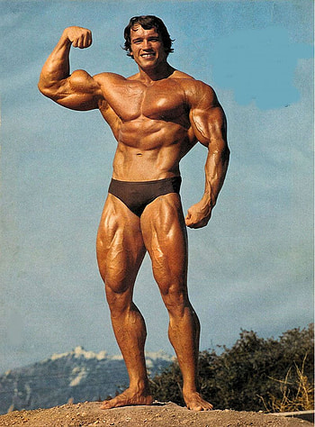 Arnold Schwarzenegger High Quality HD phone wallpaper