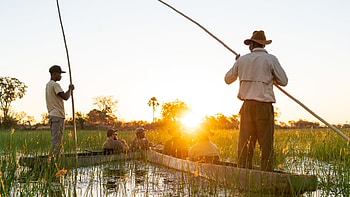 Mobile and walking safari, Okavango Delta, Safarifrank, Wilderness adventure HD wallpaper