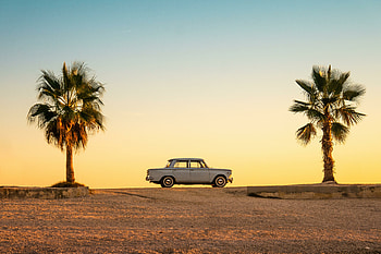 Trees and car, minimal shot HD wallpaper