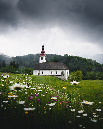Nature, Flowers, Grass, Field, Temple, Slovenia HD phone wallpaper