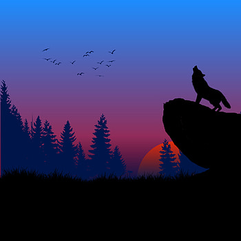 WOLF, atmosphere, sky HD phone wallpaper