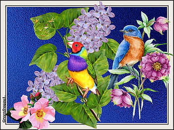 BIRD COLLAGE, BIRDS, ART, FLOWERS, ABSTRACT HD wallpaper