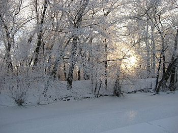 Landscape, Winter, Trees, Snow HD wallpaper