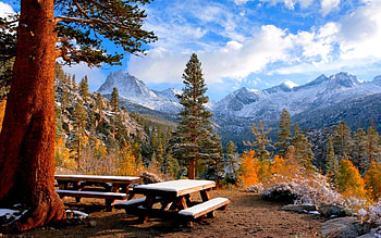 WINTER PICNIC, winter, bench, snow, mountain HD wallpaper