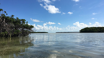 Everglades National Park, Best campgrounds, Perfect for airstreams, Outdoor adventure HD wallpaper