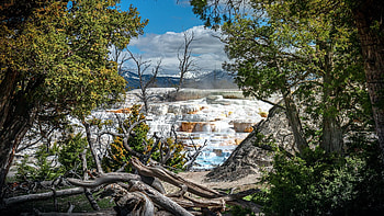 Yellowstone NP, landscape, trees, sky, rocks, usa, wyoming HD wallpaper