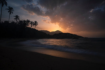 Santa Martum Sunset Beach , beach, sunset, nature, trees HD wallpaper