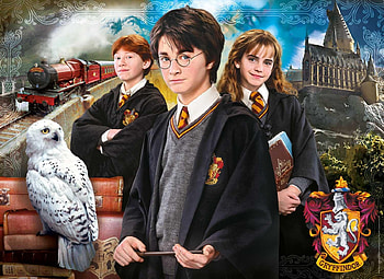 Harry Potter, daniel radcliffe, fantasy, boy, movie, bufnita, wizard, owl HD wallpaper