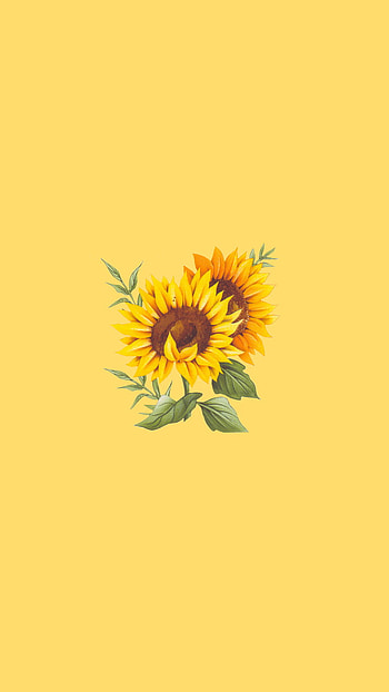 Sunflower, art, petal, yellow HD phone wallpaper