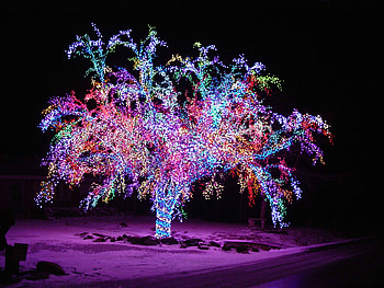 Snow, Christmas, Tree, Winter, Holiday, Christmas Lights HD wallpaper