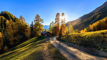 Mountain Road in Italy, trees, south tyrol, sky, alps, landscape HD wallpaper