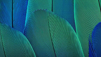 Abstract Leaves HD wallpaper