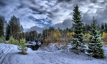 Winter, Nature, Trees, Clouds, Snow, Mainly Cloudy, Overcast, Traces, Ate, Tread, Protector HD wallpaper