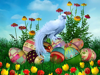 Easter day, fairytale, spring, nice, day, holiday, fantastic, white, magic, meadow, ewggs, beautiful, grass, time, pretty, field, freshness, birs, sky, flowers, easter, lovely HD wallpaper