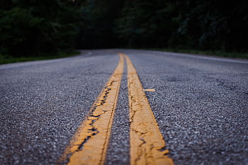 Scenic close-up shot of an empty asphalt road with yellow lines curving through a forested area. HD wallpaper