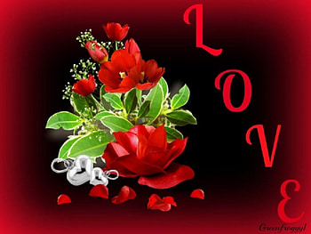 LOVE, FLOWERS, ROSES, RED HD wallpaper