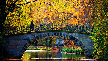 Park in Hannover, Germany, leaves, fall, autumn, trees, colors, water, reflections, River HD wallpaper